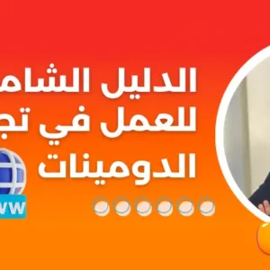 الدليل الشامل لتجارة الدومينات